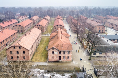 From Krakow: Auschwitz & Wieliczka Salt Mine Full-Day Trip Tour with Hotel Pickup