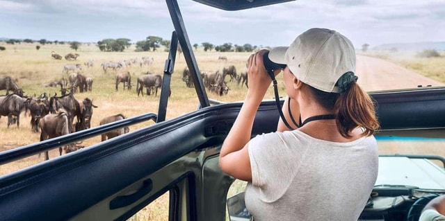 3-Day Masai Mara National Reserve Budget Safari on 4x4 Jeep