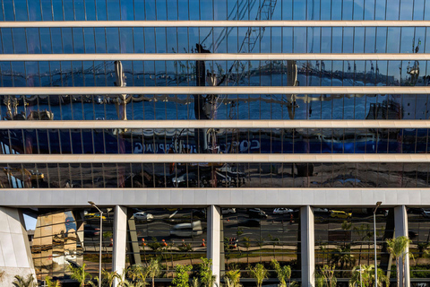 Rio de Janeiro: Modern Architecture Experience with Guide