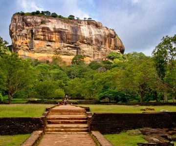 From Colombo: Sigiriya and Dambulla Day Trip and Safari