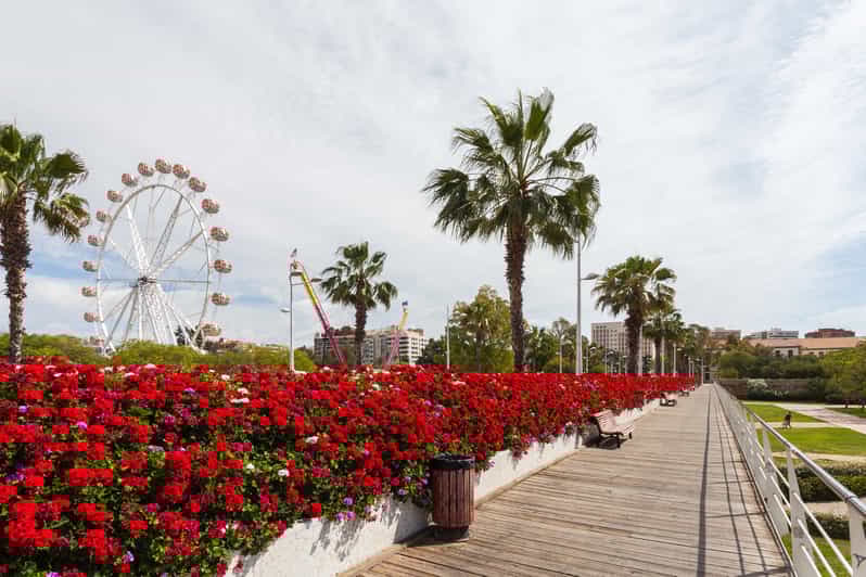 Valencia 3stündige Fahrradtour GetYourGuide