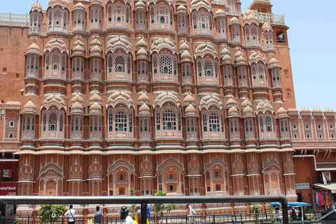 Jaipur: Heldags stadsrundtur med kamelridning och apentempel