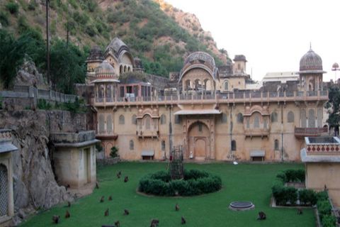 Jaipur: tour della città di un'intera giornata con Camel Ride e Monkey Temple