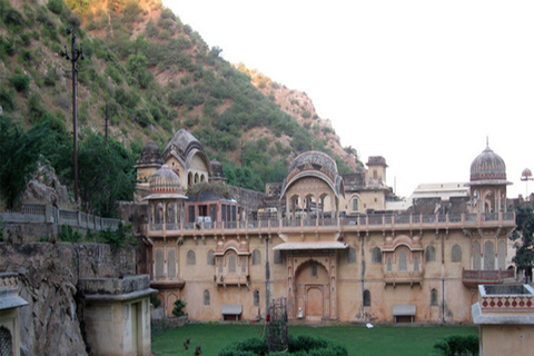 Jaipur: Heldags stadsrundtur med kamelridning och apentempel