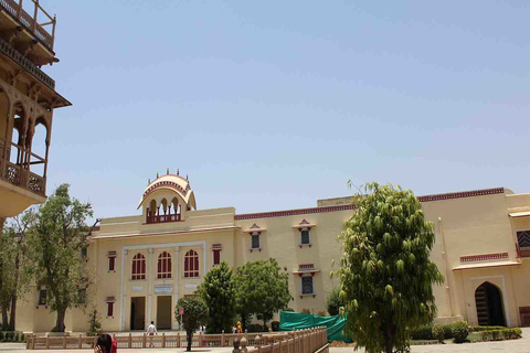 Jaipur: City Tour de dia inteiro com passeio de camelo e templo dos macacos