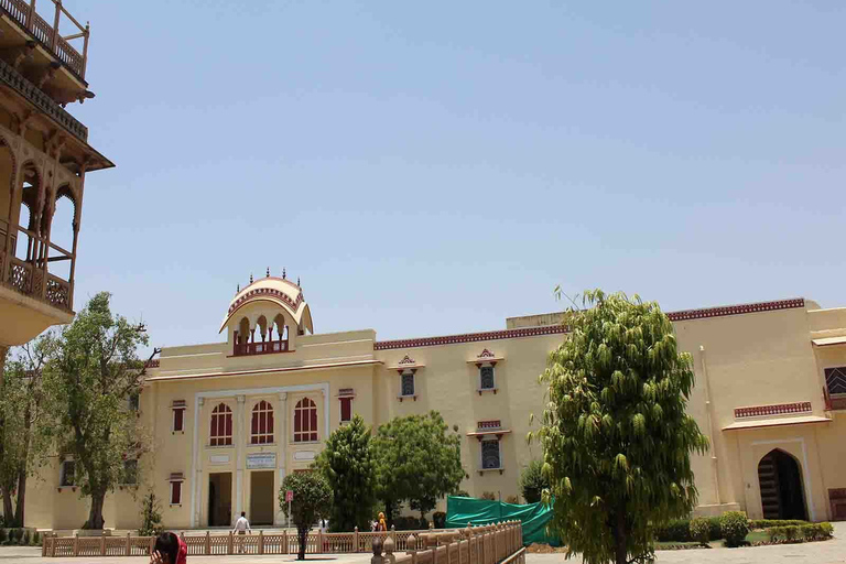 Jaipur: visite d'une journée de la ville avec balade en chameau et temple des singes