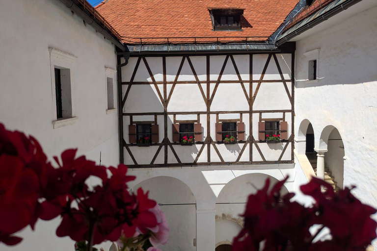From Ljubljana: East Slovenia Backroads Tour with Meal
