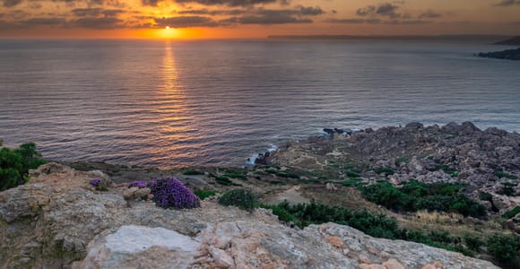 Mdina/Valletta/Riviera: Professional Photography Service