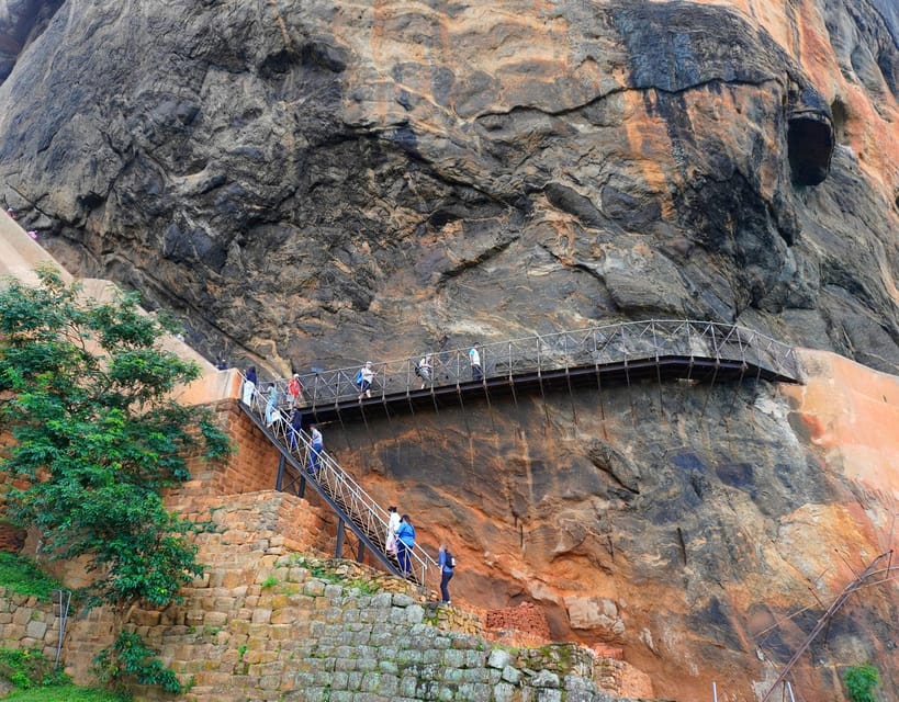 Sigiriya : Randonnée Au Rocher Du Lion, Visite Du Village Et Safari à ...