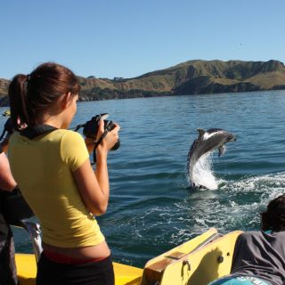 Bay of Islands: Bay Discovery Cruise with Island Stop-Over