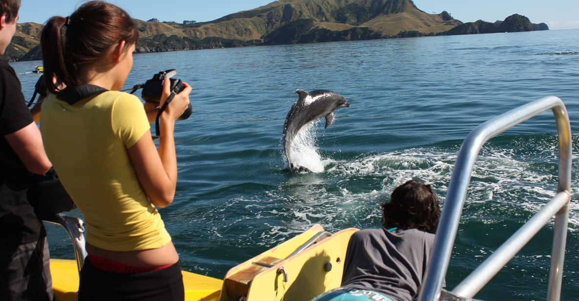 bay discovery cruise