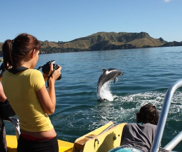 Bay of Islands: Discover the Bay Cruise with Island Lunch