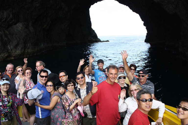 Bay of Islands: Bay Discovery Cruise with Island Stop-OverSummer 2:00 PM Scenic 4.5-Hour Cruise and Island Stopover