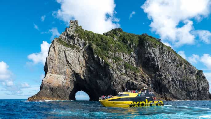 bay of islands bay discovery cruise with island stopover