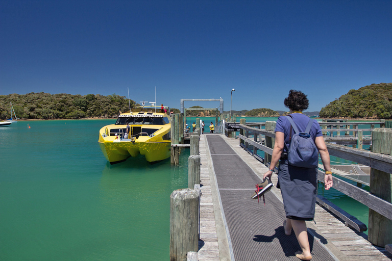 Bay of Islands: Bay Discovery Cruise with Island Stop-OverSummer 2:00 PM Scenic 4.5-Hour Cruise and Island Stopover