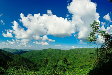 Nationaal park Khao Yai: junglewandeltocht vanuit BangkokNationaal park Khao Yai: junglewandeltocht in kleine groep