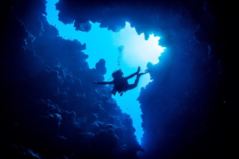 From Sharm or Dahab: Blue Hole & Canyon Sea Dive ExperienceOdbiór z Dahab