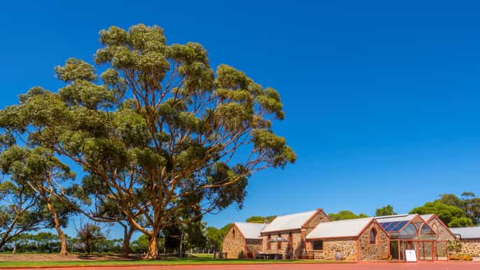 adelaide mclaren vale and glenelg wine tasting tour