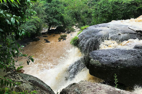 Khao Yai National Park Jungle Trekking Day Trip From Bangkok Khao Yai National Park Small-Group Tour