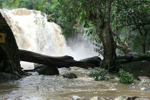 Khao Yai National Park Jungle Trekking Day Trip From Bangkok Khao Yai National Park Small-Group Tour