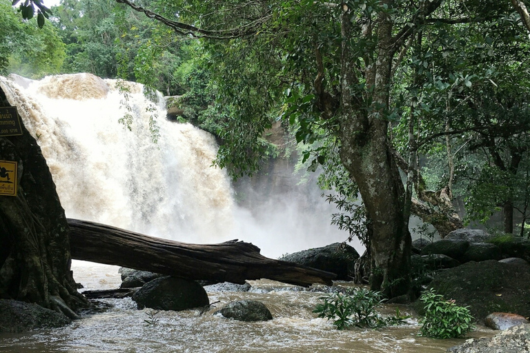 Khao Yai National Park Jungle Trekking Day Trip From Bangkok Khao Yai National Park Small-Group Tour