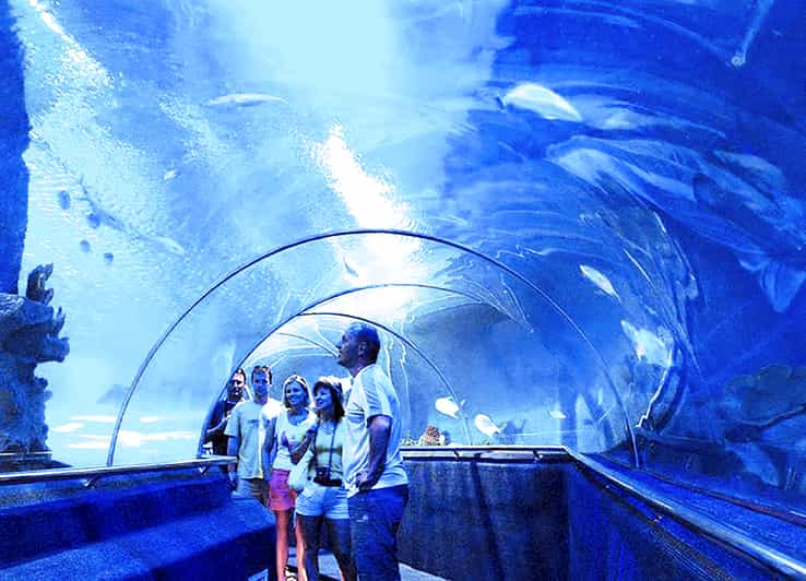 Nha Trang: Speedboat Beach Tour and Tri Nguyen Aquarium | GetYourGuide