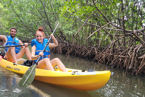 Miami: Biscayne Bay Ultimate Boat Tour with Kayak Experience