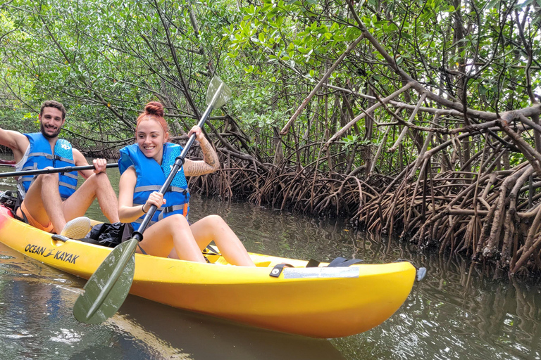 Miami: Biscayne Bay Ultimate Boat Tour with Kayak Experience