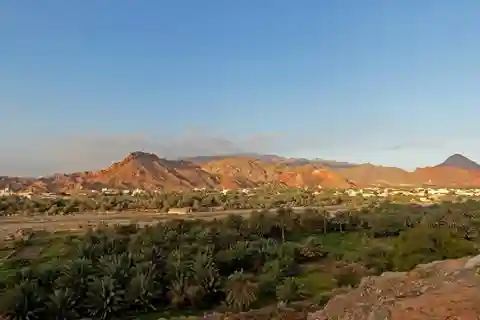 Oman: 4WD Tour of Amouage, Fanja Village and Wadi Tayin