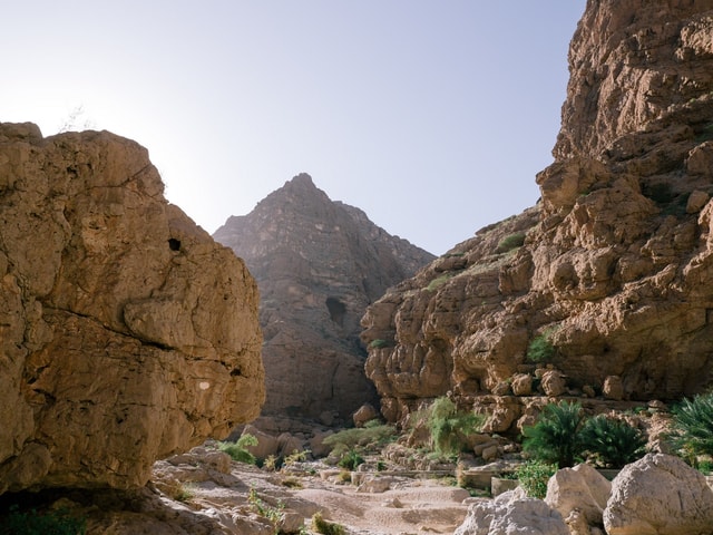 Van Muscat: Wadi Sahtan-dagtrip