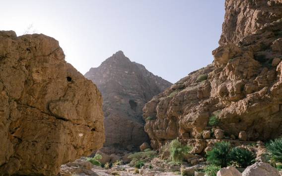 Ab Maskat: Tagesausflug zum Wadi Sahtan