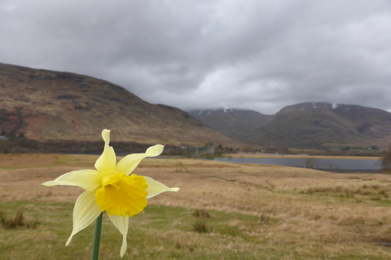 Ab Glasgow: Schottische Highlands & Isle of Skye 5-Tages-TourDoppelzimmer mit eigenem Bad