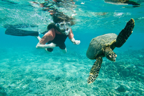 Muscat: 2 timmars snorkeltur