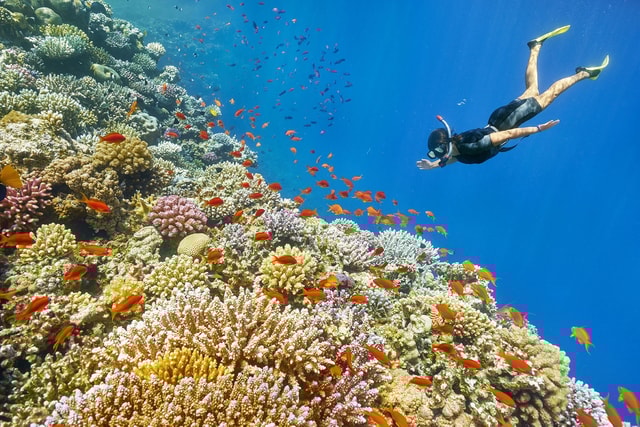 Muscat: snorkeltocht van 2 uur