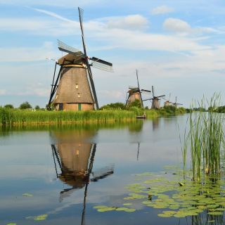 Privat dagstur fra Amsterdam til Rotterdam og Kinderdijk