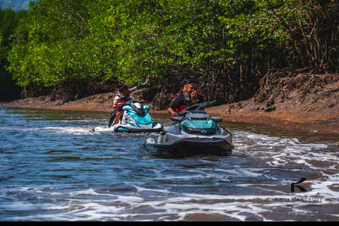 Langkawi: Mangrove Jet Ski Tour with Wildlife Watching