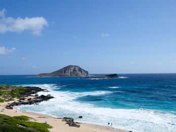 Oahu: Sightseeing-Tour und Schnorcheln an der North Shore Oahu: Sightseeing-Tour und Schnorcheln an der North Shore