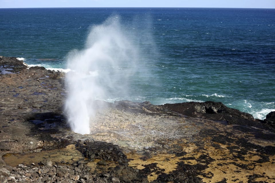 Hidden Gems of Oahu and North Shore Turtle Beach, Oahu Shore Excursion