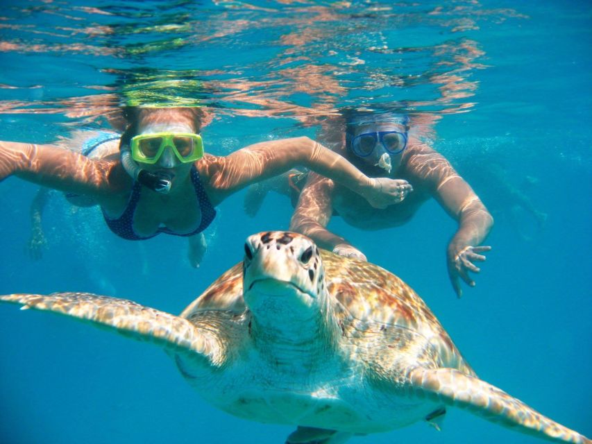 Hidden Gems of Oahu Tour with North Shore Turtle Snorkeling 