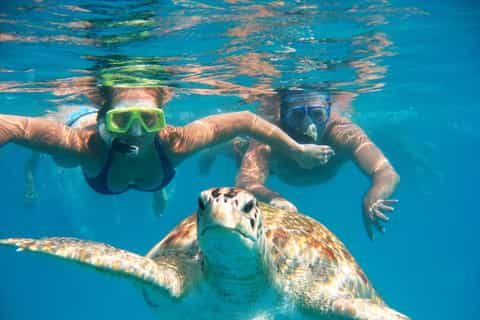 Hidden Gems of Oahu Tour with North Shore Turtle Snorkeling