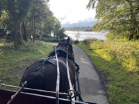 Killarney National Park Jaunting Car Tour - Housity