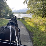 Killarney National Park Jaunting Car Tour
