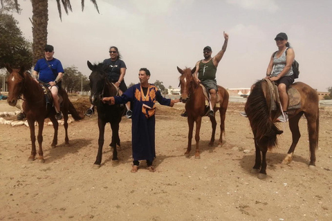 Agadir: Beginner Horse Ride Along the Souss River