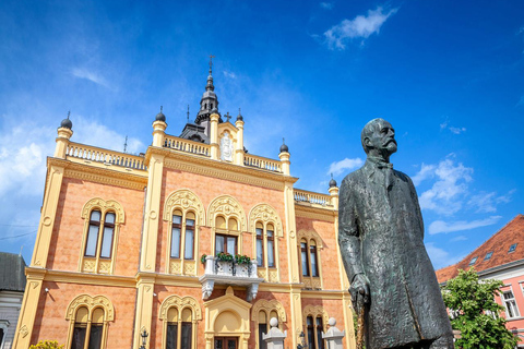 Da Belgrado: Sremski Karlovci e Novi Sad con degustazione di vinoTour condiviso