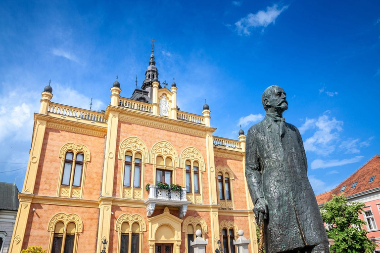 De Belgrado: Sremski Karlovci e Novi Sad com degustação de vinhostour privado