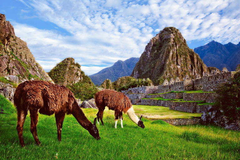 Machu Picchu: Circuit 2 inträdesbiljettDesignad Classic Route biljett