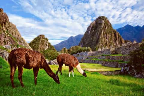 Machu Picchu: Lost Citadel and the Mountain Entry Ticket