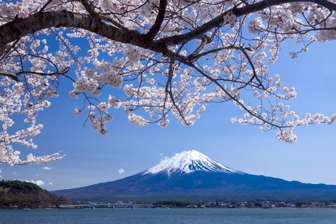 Tour privado personalizado en el Monte Fuji