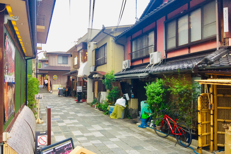 Kyoto: Arashiyama Affenpark, Bambuswald und Tempel