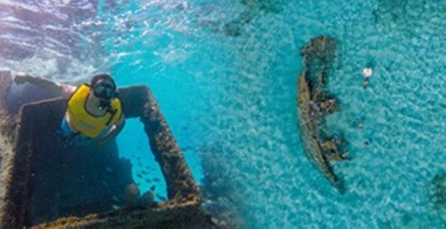 From Cancun: Snorkeling with Turtles Tour